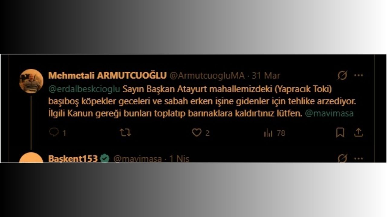 Etimesgut’ta Sahipsiz Hayvanlar Için %22Güvenli Sokak%22 Mesaisi