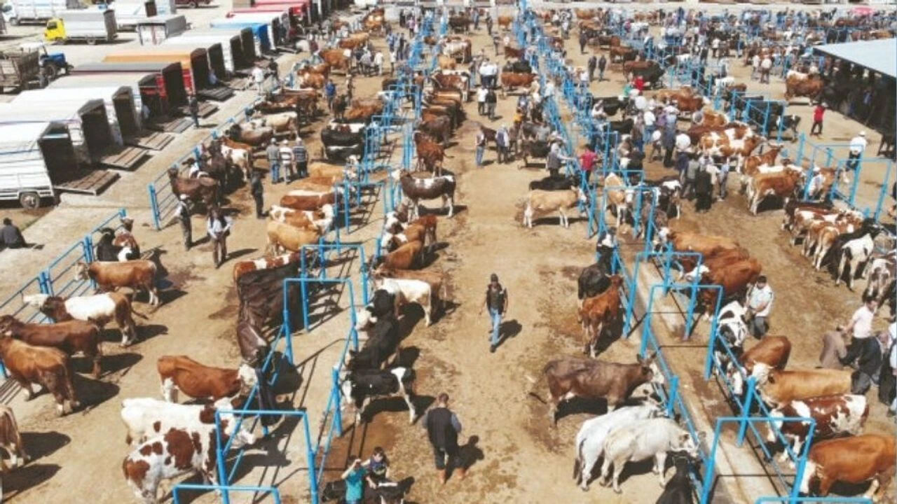 2026 Altındağ Kurban Kesim Yerleri